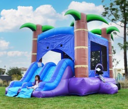 Tropical Slam Dunk Combo Bounce House